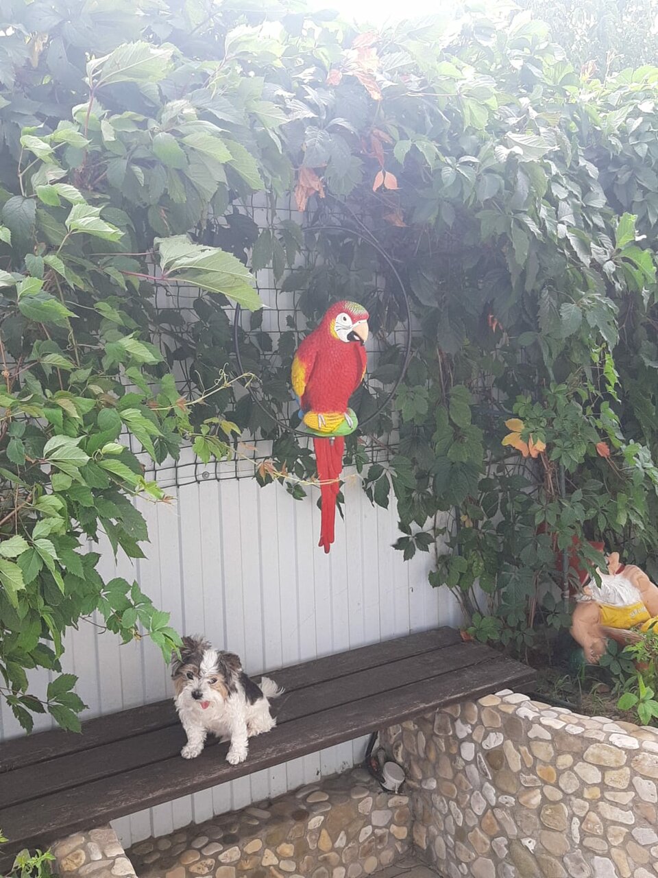 Гостиница Гармония Архипо-Осиповка-106