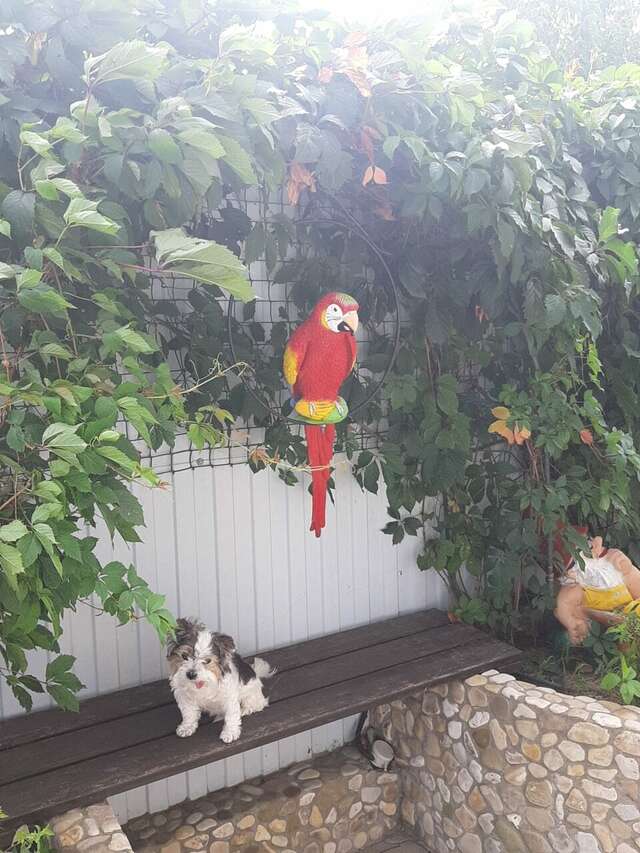 Гостиница Гармония Архипо-Осиповка-105